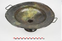 Foto von Bronzebreitrandfußschale (NHMW-PRAE-025182)